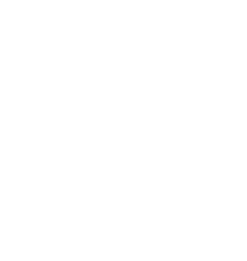 icon-white-bullet