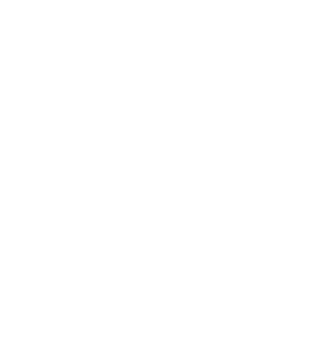 icon-white-play
