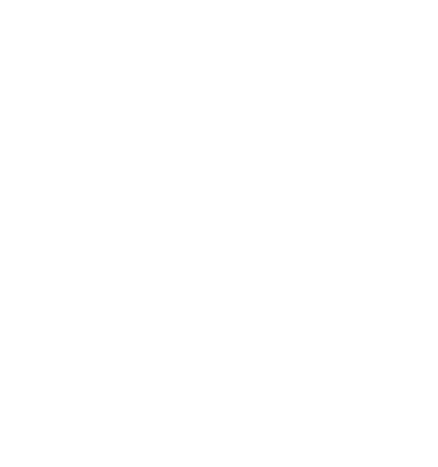 icon-white-safety